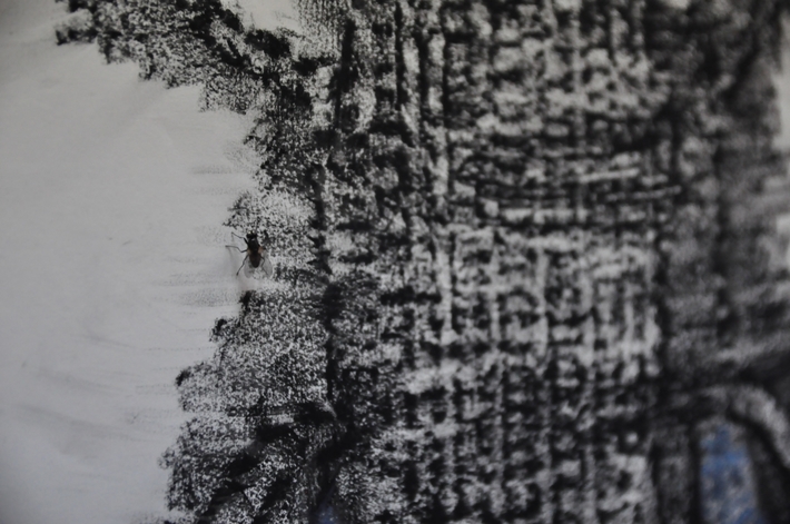 Gostycyn: Mikrokosmos. PRAPREMIERA - ZDJĘCIA