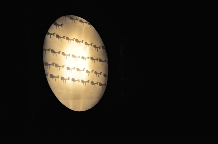 Gostycyn: Mikrokosmos. PRAPREMIERA - ZDJĘCIA