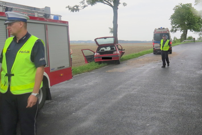 Mały Mędromierz-Brzuchowo: 19-latka uderzyła w drzewo - ZDJĘCIA