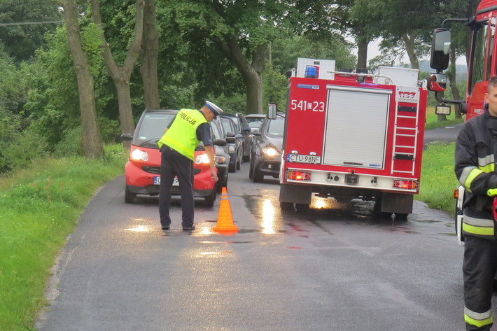 Mały Mędromierz-Brzuchowo: 19-latka uderzyła w drzewo - ZDJĘCIA