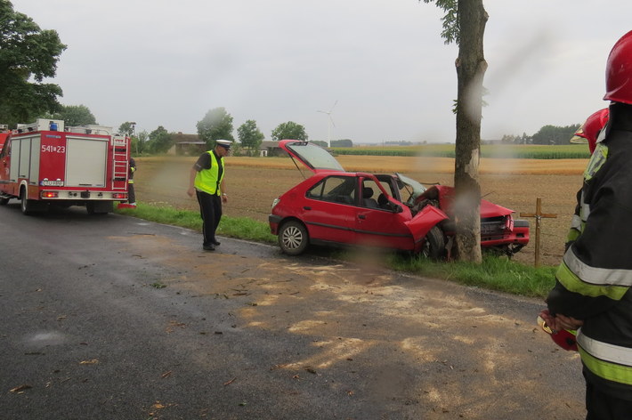Mały Mędromierz-Brzuchowo: 19-latka uderzyła w drzewo - ZDJĘCIA