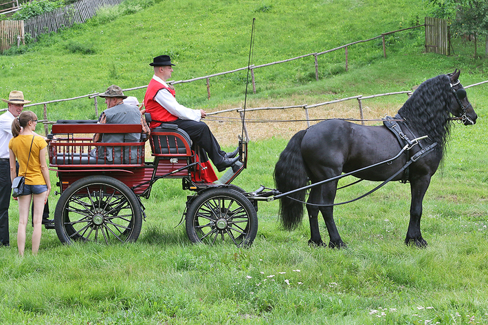 Śliwice: Konno i w rytmie cygańskich melodii - ZDJĘCIA