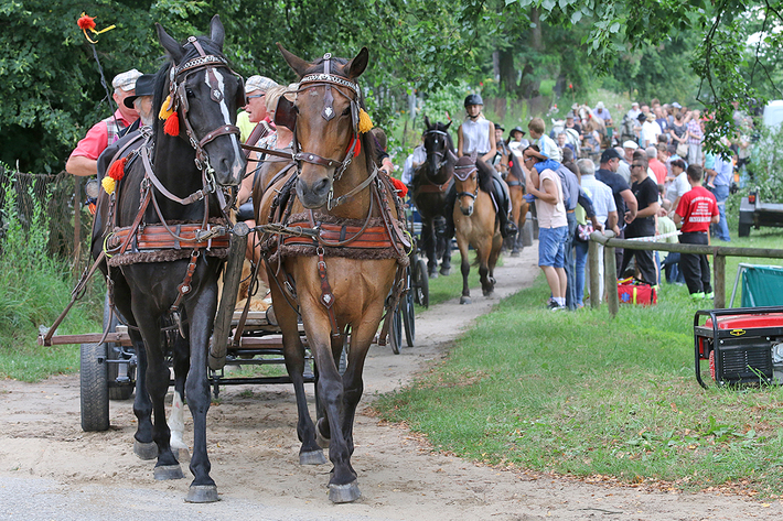 Śliwice: Konno i w rytmie cygańskich melodii - ZDJĘCIA