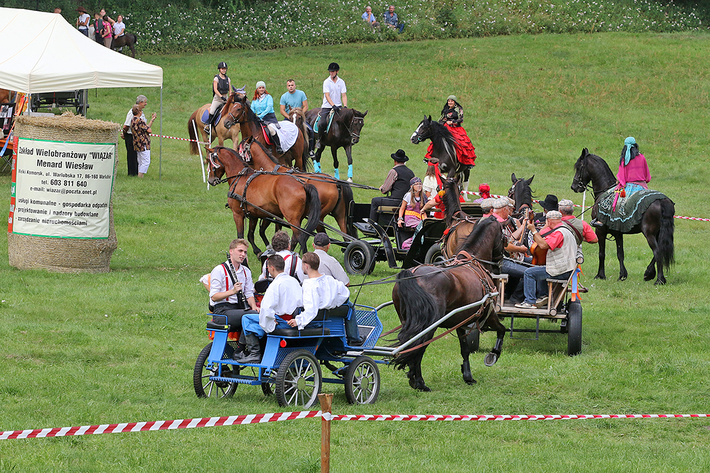 Śliwice: Konno i w rytmie cygańskich melodii - ZDJĘCIA