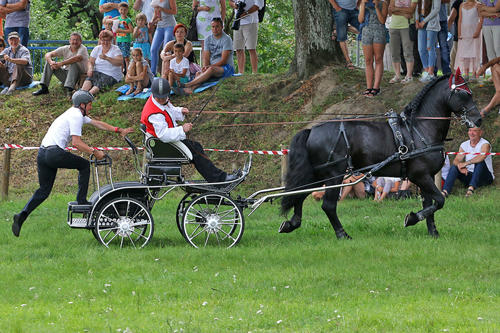 Śliwice: Konno i w rytmie cygańskich melodii - ZDJĘCIA