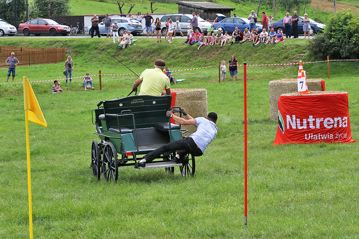 Śliwice: Konno i w rytmie cygańskich melodii - ZDJĘCIA