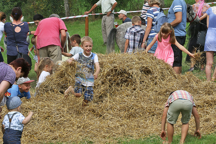 Śliwice: Konno i w rytmie cygańskich melodii - ZDJĘCIA