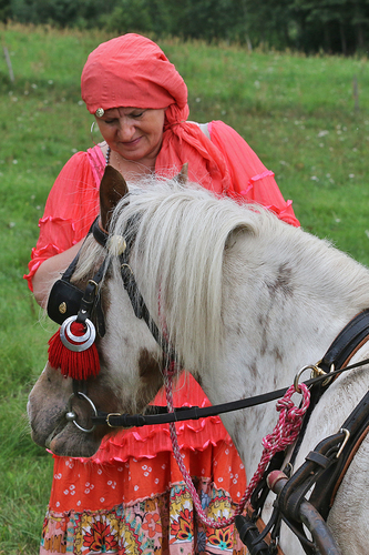 Śliwice: Konno i w rytmie cygańskich melodii - ZDJĘCIA
