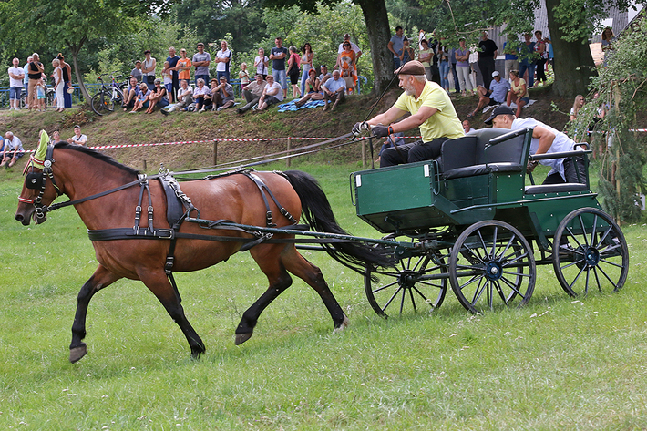 Śliwice: Konno i w rytmie cygańskich melodii - ZDJĘCIA