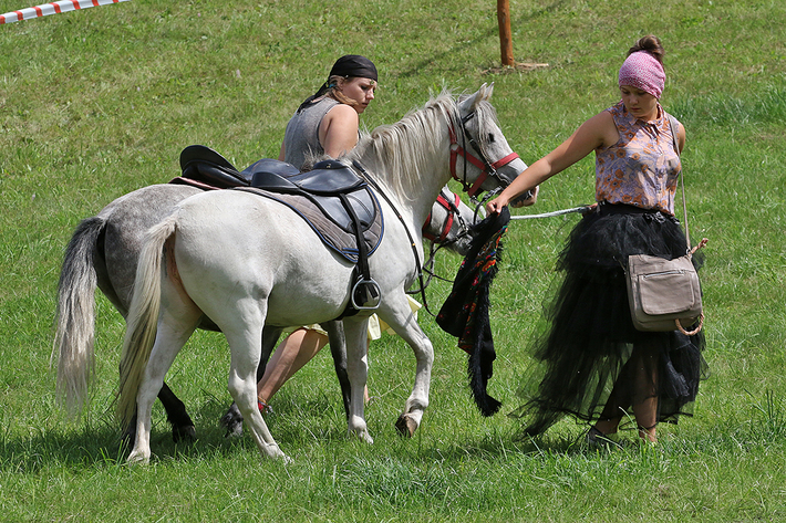Śliwice: Konno i w rytmie cygańskich melodii - ZDJĘCIA