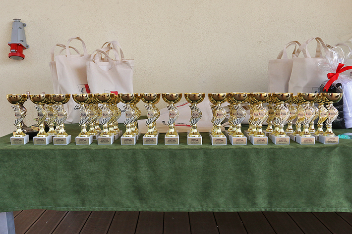 Śliwice: Trzystu biegaczy ruszyło w trasę - ZDJĘCIA