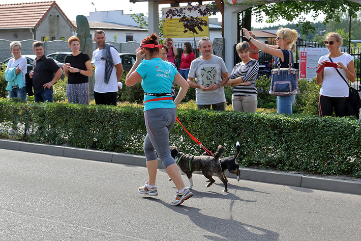 Śliwice: Trzystu biegaczy ruszyło w trasę - ZDJĘCIA