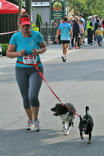 Śliwice: Trzystu biegaczy ruszyło w trasę - ZDJĘCIA