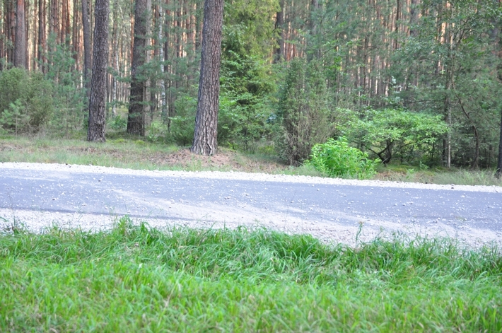 Tuchola - Śliwice: Potworny wypadek na napoleonce ZDJĘCIA