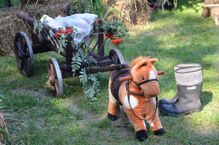 Dożynki w Raciążu - ZDJĘCIA