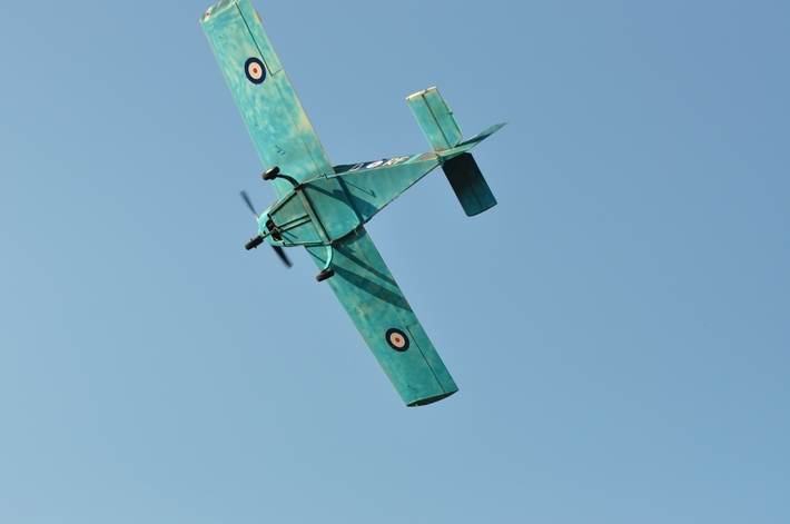 Gmina Cekcyn: Widowiskowy Heidekraut - ZDJĘCIA