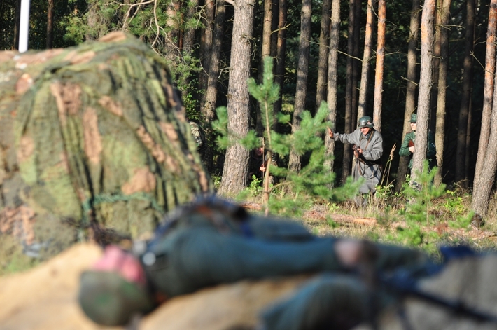 Gmina Cekcyn: Widowiskowy Heidekraut - ZDJĘCIA