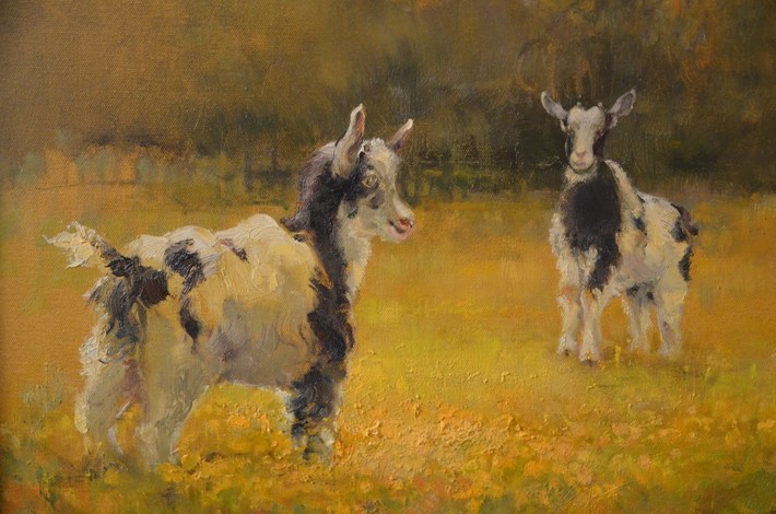 Brda: Powstała wspaniała kolekcja obrazów - ZDJĘCIA