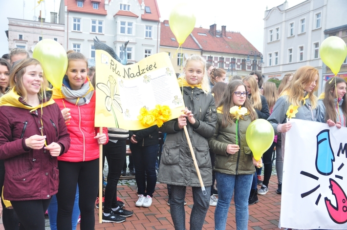 Tuchola: Pola Nadziei 2016. Sadziliśmy żonkile - ZDJĘCIA