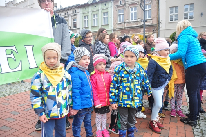 Tuchola: Pola Nadziei 2016. Sadziliśmy żonkile - ZDJĘCIA