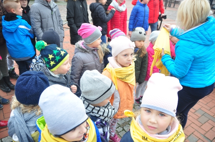 Tuchola: Pola Nadziei 2016. Sadziliśmy żonkile - ZDJĘCIA