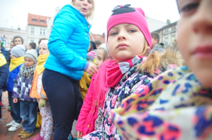 Tuchola: Pola Nadziei 2016. Sadziliśmy żonkile - ZDJĘCIA