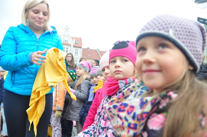 Tuchola: Pola Nadziei 2016. Sadziliśmy żonkile - ZDJĘCIA
