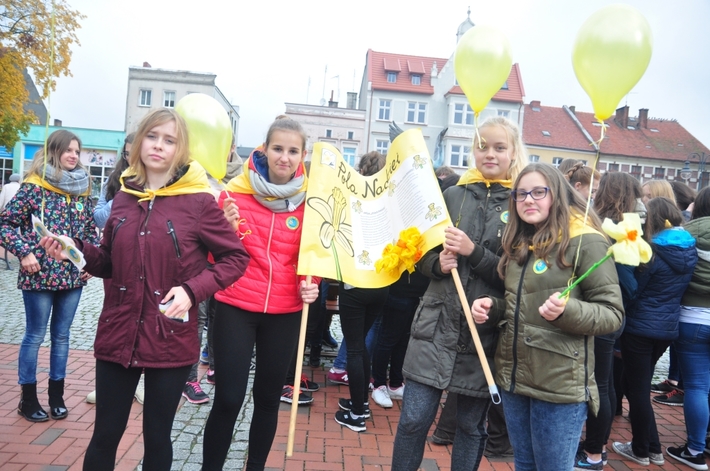 Tuchola: Pola Nadziei 2016. Sadziliśmy żonkile - ZDJĘCIA