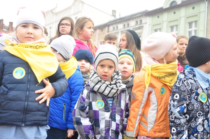 Tuchola: Pola Nadziei 2016. Sadziliśmy żonkile - ZDJĘCIA