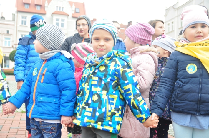 Tuchola: Pola Nadziei 2016. Sadziliśmy żonkile - ZDJĘCIA