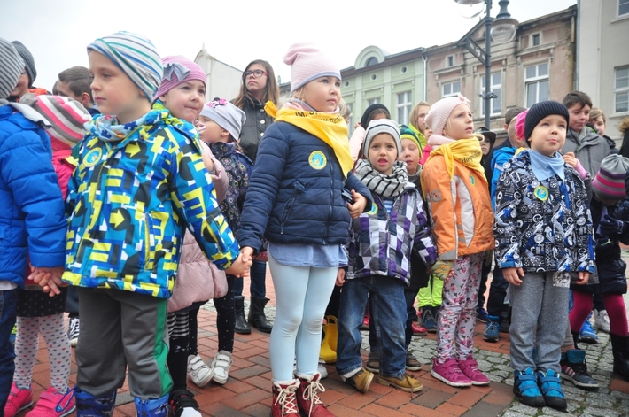 Tuchola: Pola Nadziei 2016. Sadziliśmy żonkile - ZDJĘCIA
