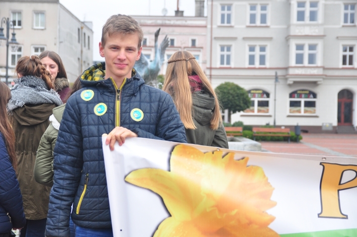Tuchola: Pola Nadziei 2016. Sadziliśmy żonkile - ZDJĘCIA