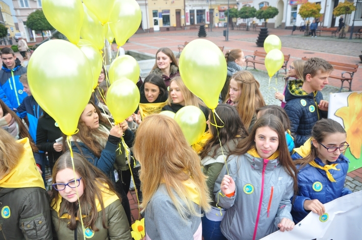 Tuchola: Pola Nadziei 2016. Sadziliśmy żonkile - ZDJĘCIA