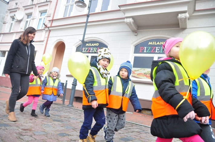 Tuchola: Pola Nadziei 2016. Sadziliśmy żonkile - ZDJĘCIA