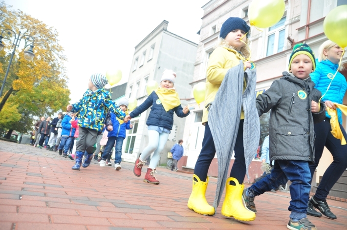 Tuchola: Pola Nadziei 2016. Sadziliśmy żonkile - ZDJĘCIA