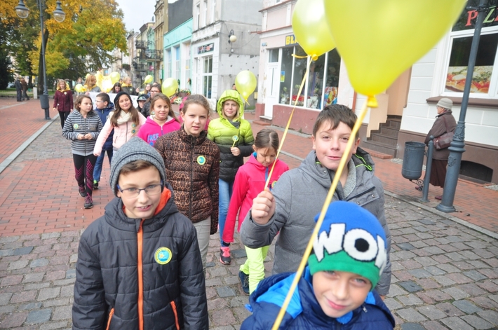 Tuchola: Pola Nadziei 2016. Sadziliśmy żonkile - ZDJĘCIA