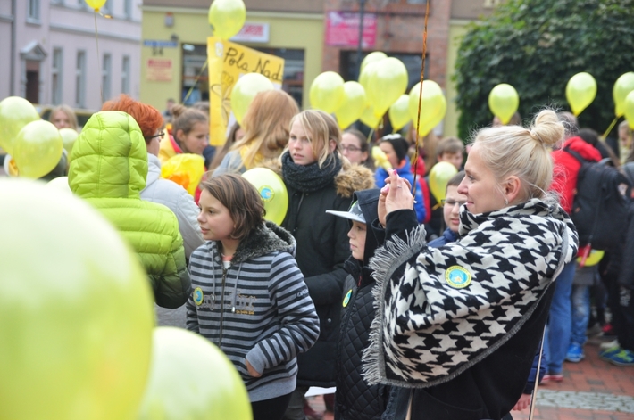 Tuchola: Pola Nadziei 2016. Sadziliśmy żonkile - ZDJĘCIA