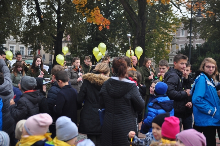 Tuchola: Pola Nadziei 2016. Sadziliśmy żonkile - ZDJĘCIA