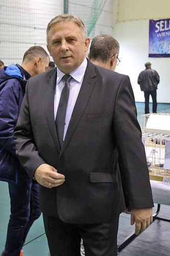 Tuchola: Wystawa Gołębi Pocztowych - DUŻO ZDJĘĆ