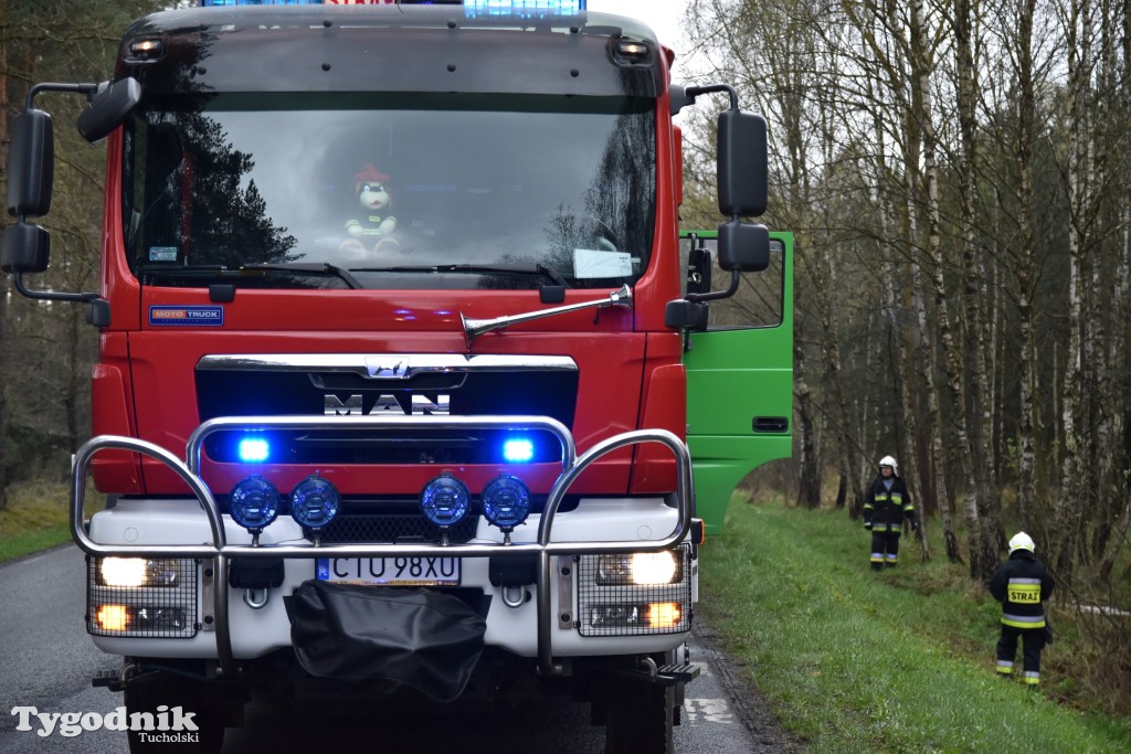 Pożar przyczepy z trzodą chlewną