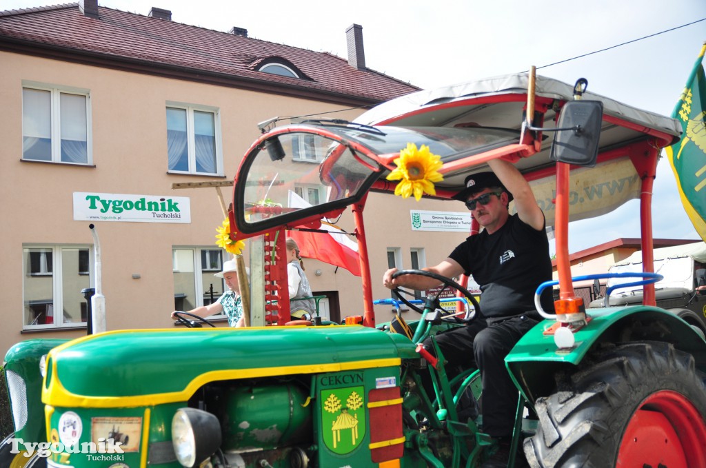 Pochód Borowiaków 2017 w Tucholi