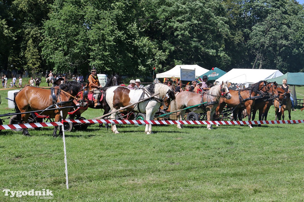 Piknik Koniarzy w Śliwicach 2017