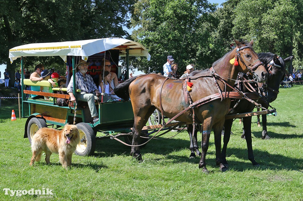 Piknik Koniarzy w Śliwicach 2017