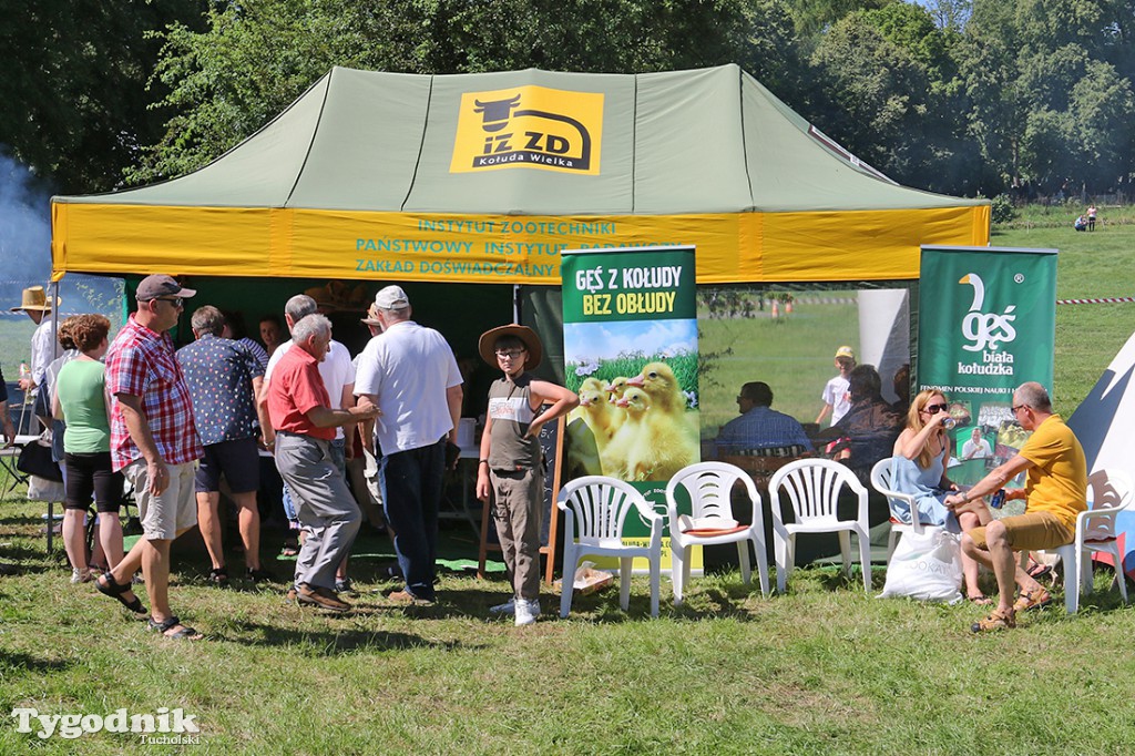Piknik Koniarzy w Śliwicach 2017