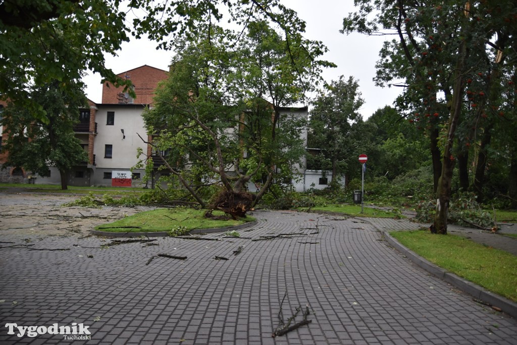 Krajobraz po nawałnicy
