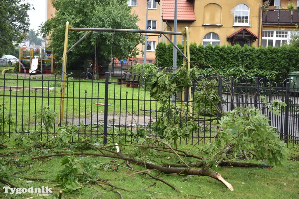 Krajobraz po nawałnicy