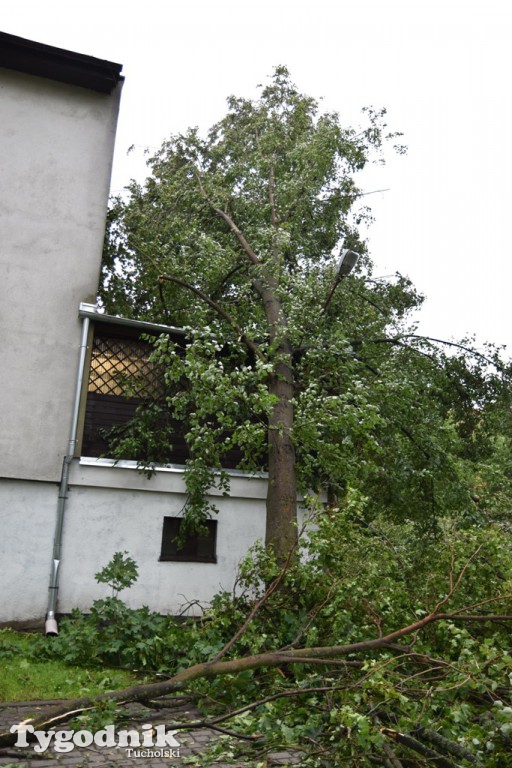 Krajobraz po nawałnicy