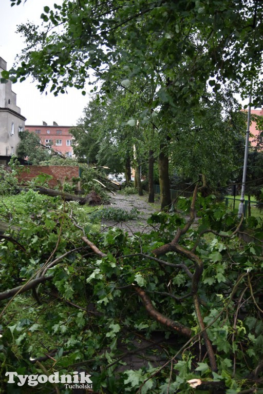 Krajobraz po nawałnicy