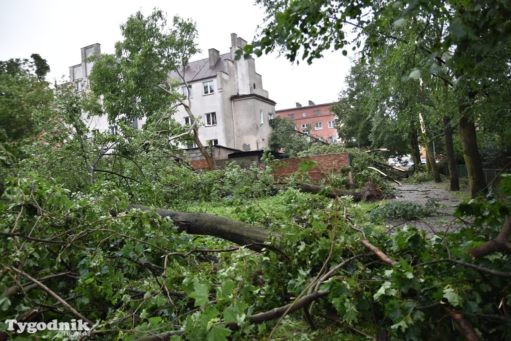 Krajobraz po nawałnicy
