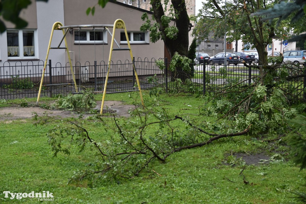 Krajobraz po nawałnicy